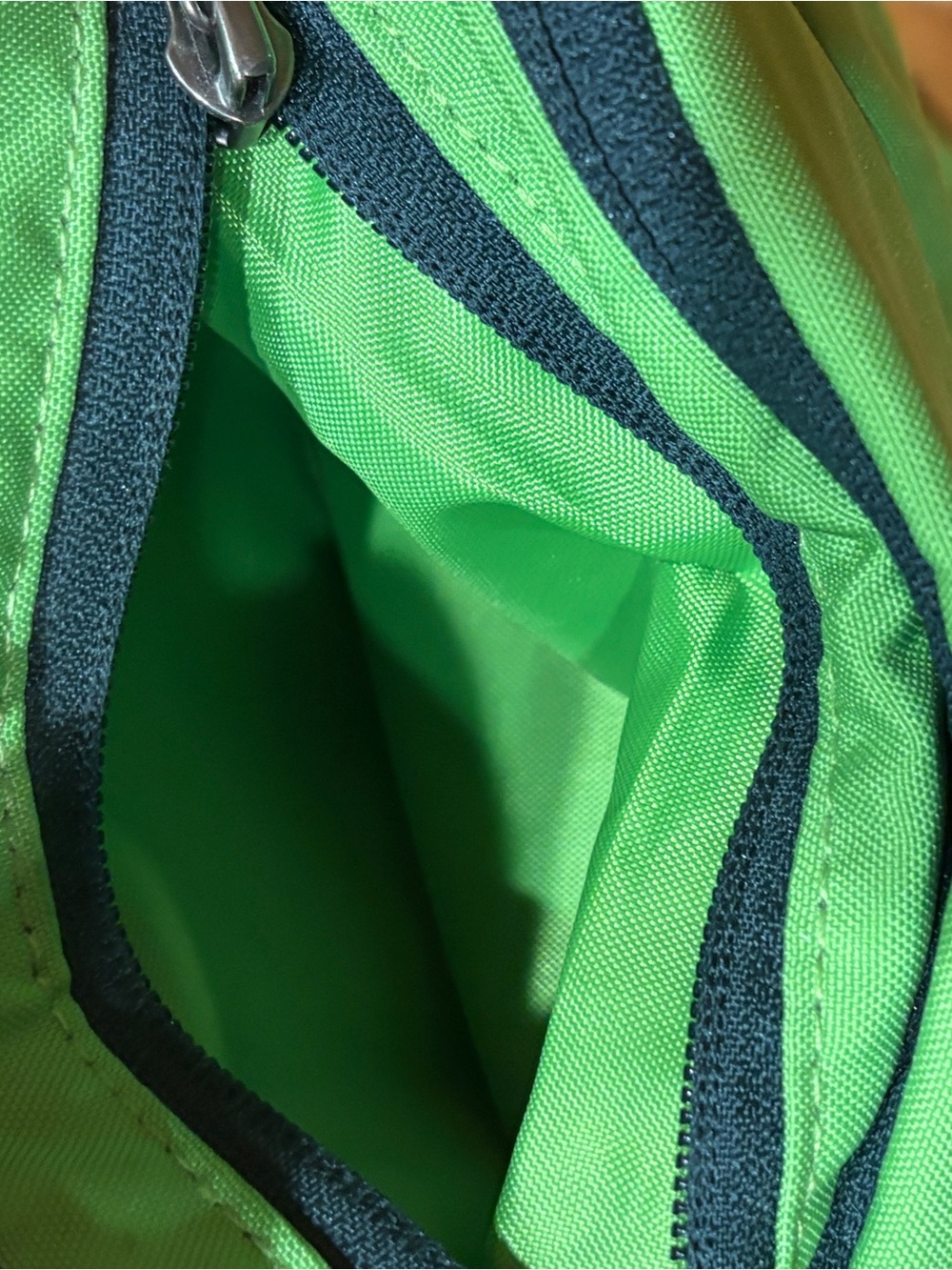 RARE Patagonia Refugio 28L Backpack Sierra Nevada Beer Promo Green - Picture 8 of 9